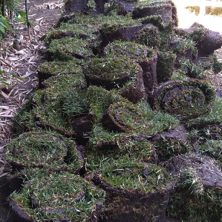 Rollos de Césped Cuernavaca