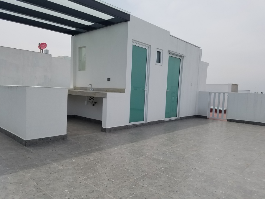 Roof Garden 