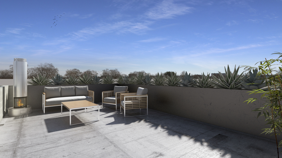 Roof Garden