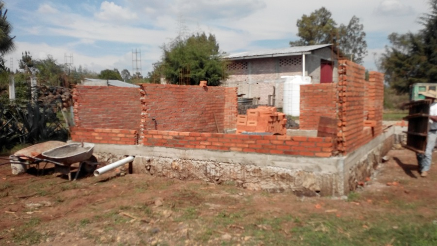 Salida sanitaria