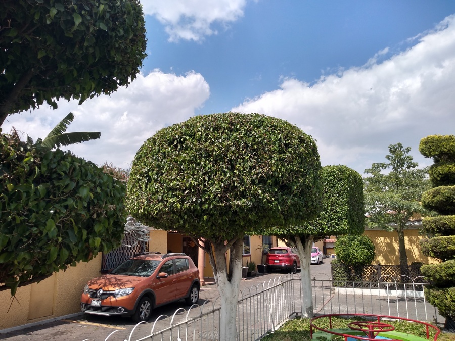 Servicio realizado quincenalmente al poniente de la Ciudad