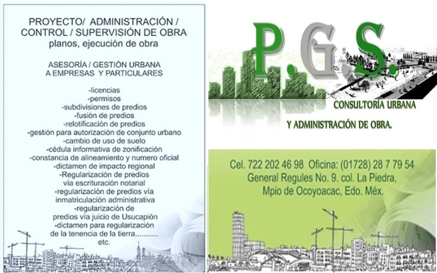 SERVICIOS PROFESIONALES