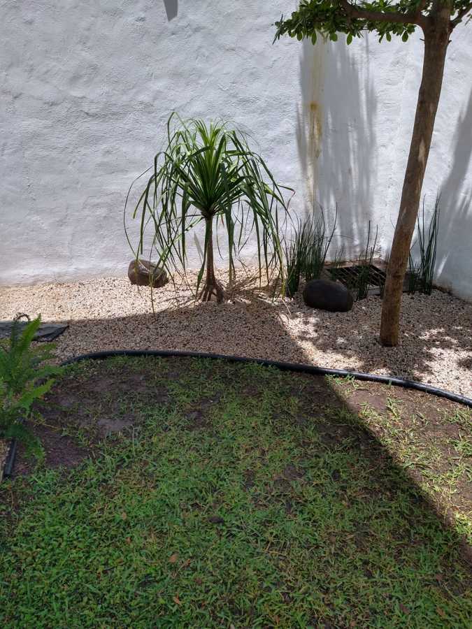 Sombra bajo el árbol
