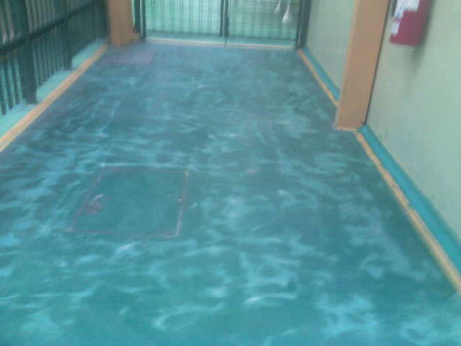 Supervision de limpieza del area