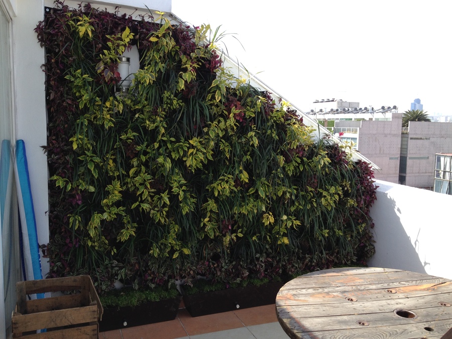 Terraza con vida