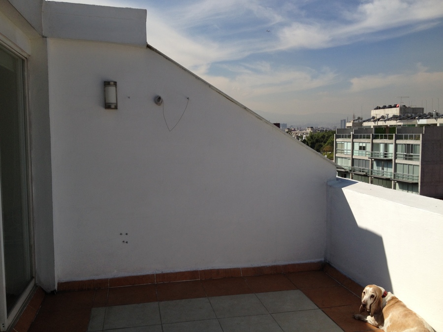 Terraza simple
