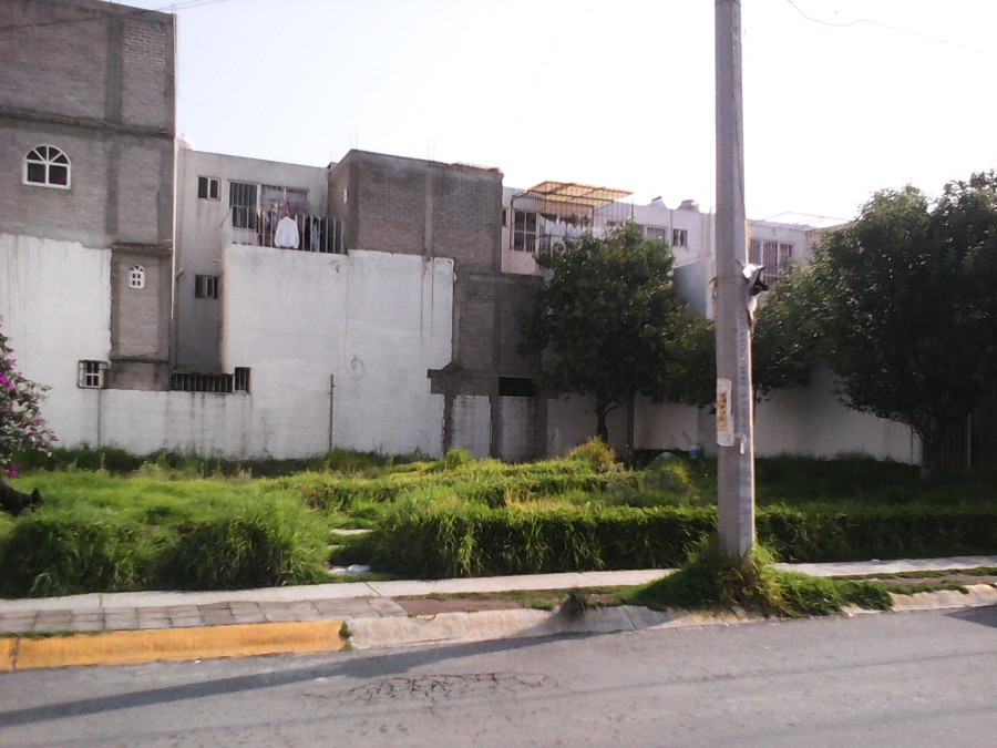 Terreno