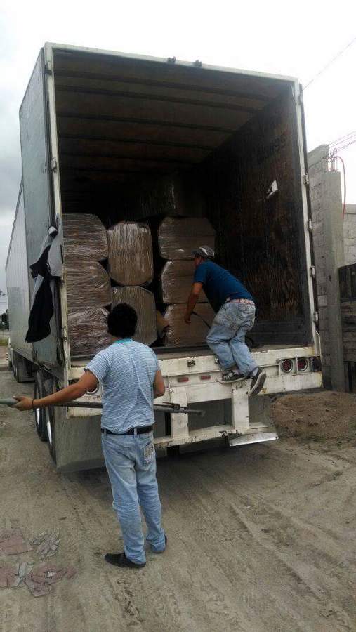 Transporte a cd. Del carmen