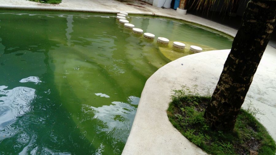 Tratamiento de Agua Alberca 1