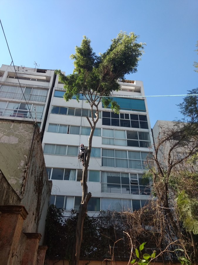 Última parte del derribo.