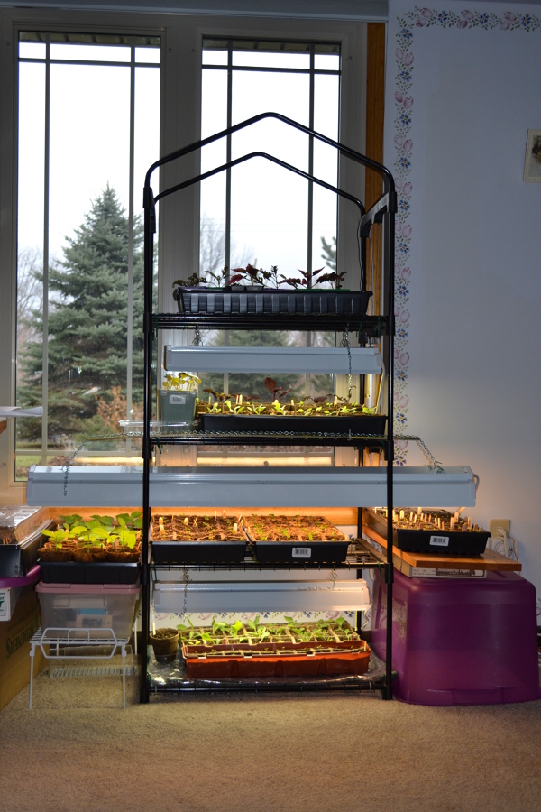 vegetable-garden-home-and-ga