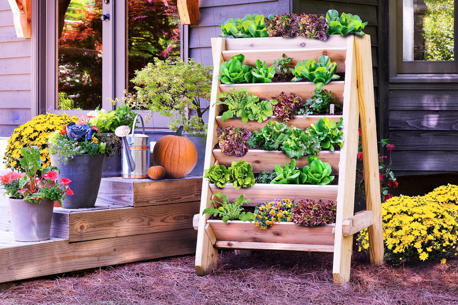 vertical-lettuce-planter-web21-1024x683