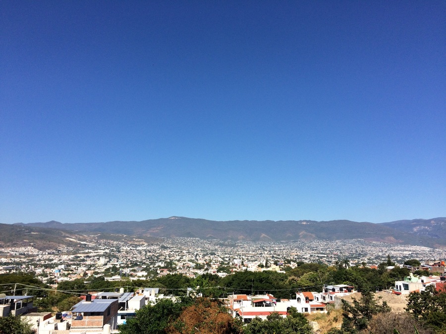 Vista