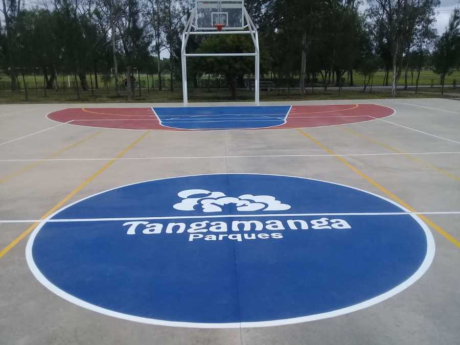 Vistá frontal