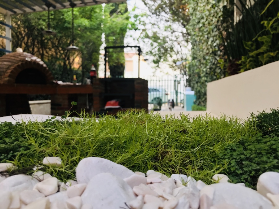 Vista interior proyecto concluido