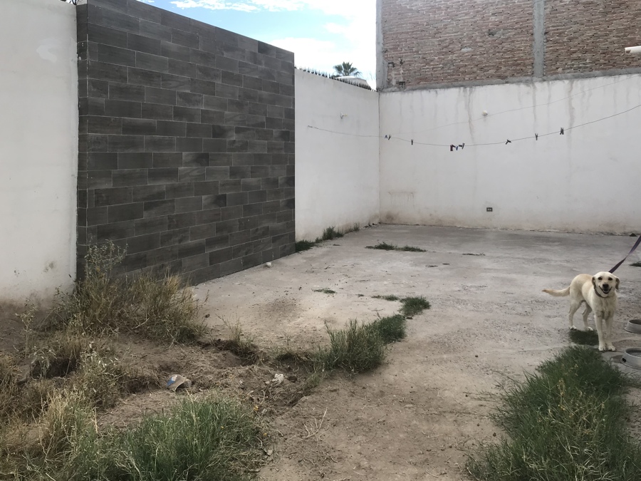Vista patio