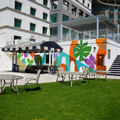 Mural para Zona de Alberca
