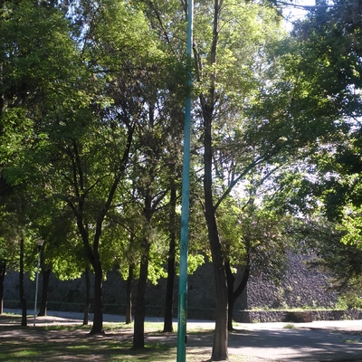 Ilumincion y Telegestion en Ciudad Universitaria