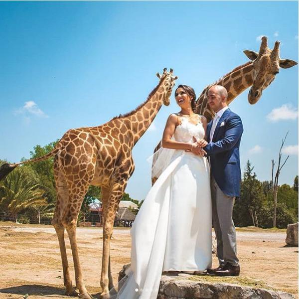 Boda en Parque temático con Jirafas