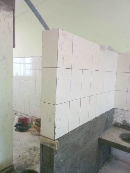 Foto: Colocación de Azulejo en Muros de S. M. I. #463909 - Habitissimo