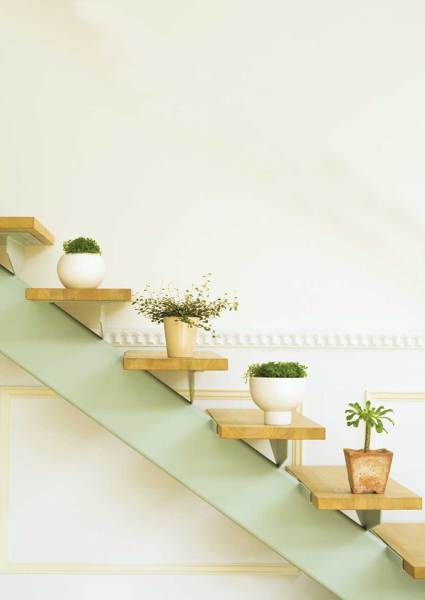 decorar-con-plantas1