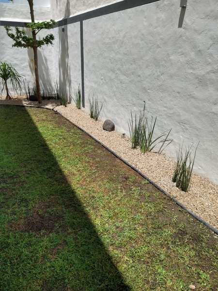 Gravilla y plantas perimetrales con separador de PVC