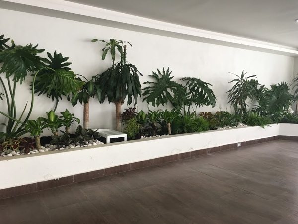 Foto: Jardin Interior de Constructora Rosmig S.a De C. V #395568