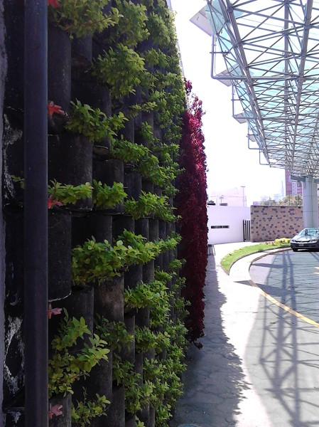 JARDIN VERTICAL "FLORESTA"