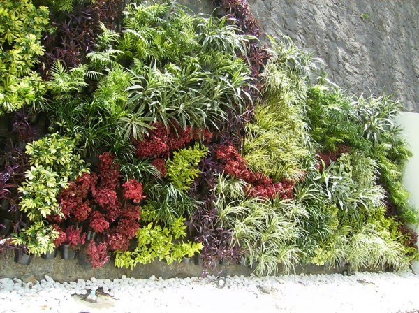 Muro Verde