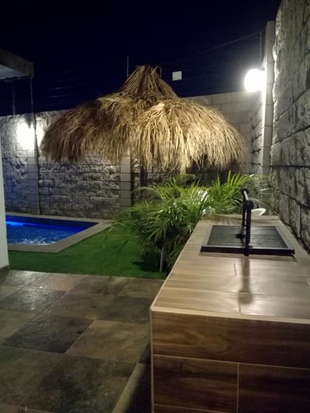 Palapa de Palma  y Asador