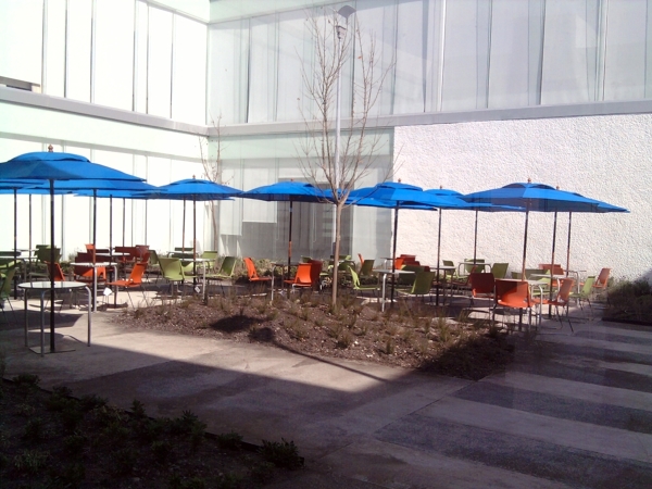 Patio interior en oficina.