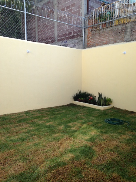 Patio trasero