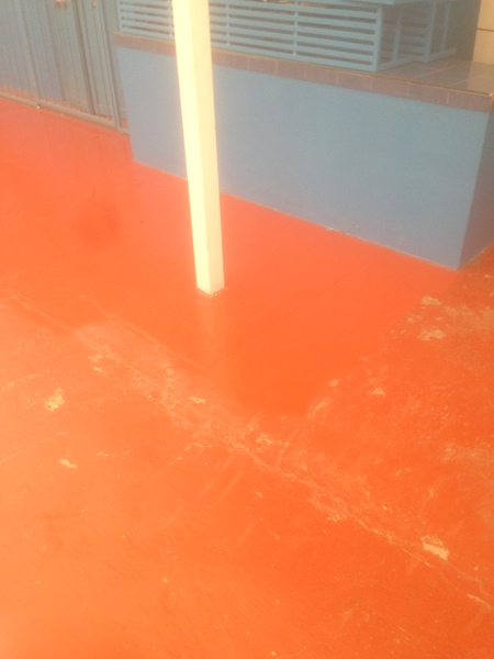 Foto: Piso muy Deteriorado de Solutierra #403679 - Habitissimo