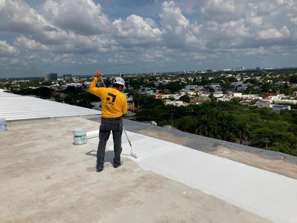 Foto: Proceso de Aplicación de CAPA Aplicaciones y Proyectos #999341 ...