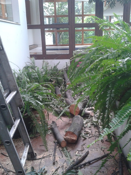 recoleccion de basura