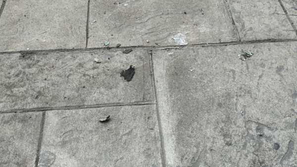Recubrimiento de piso con resina epoxica