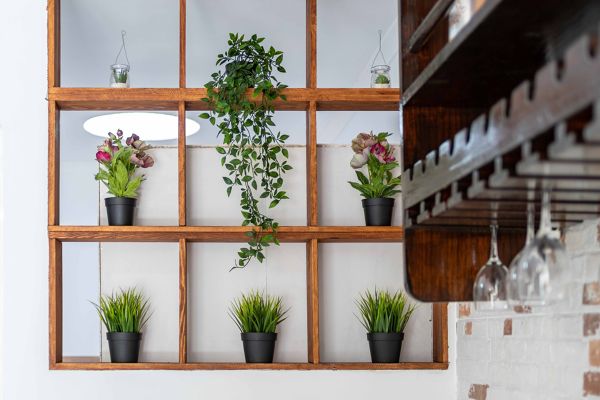 Rodéate de plantas
