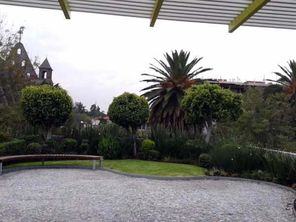 Roof Garden