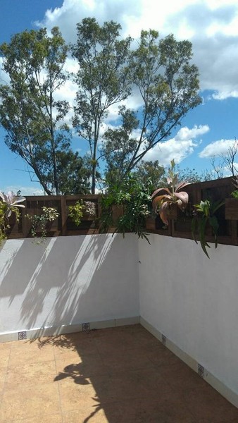 ROOFGARDEN COYOACAN, MEX