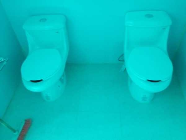 Sanitaros