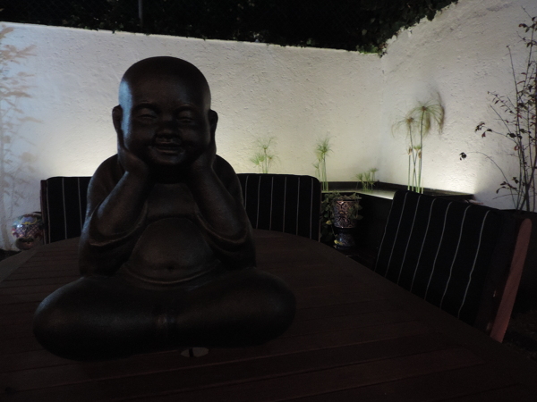 Terraza jardín, Metepec.