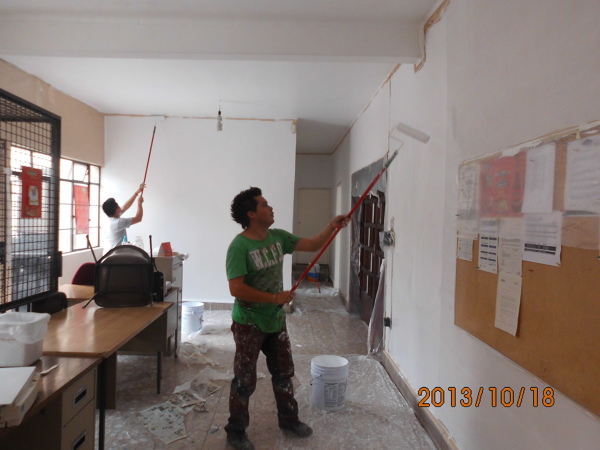 TRABAJOS DE PINTURA PROFESIONAL 