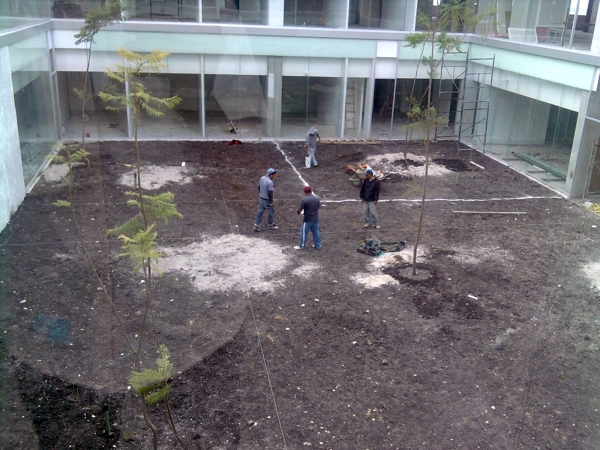 Trazo para jardín interior.