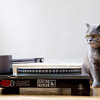 43159_cat-scrach-enrico-05-1024x682