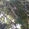 Acomodo seguro para corte.
