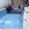 Alberca 2