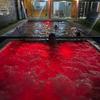 alberca y jacuzzi con luz led a color