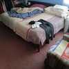 Alfombra en cuarto A
