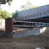 Area cocodrilo zoologico culiacan sin.