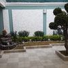 Arreglo de Jardinera